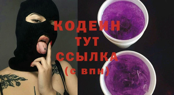 шишки Куровское