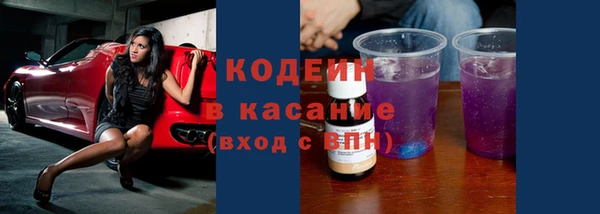 дмт Елизово