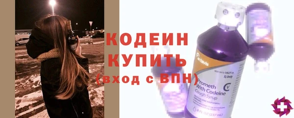 дмт Елизово