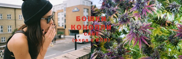 прущая мука Курчалой